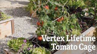 Vertex Lifetime Tomato Cage