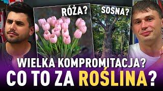 Co to ZA ROŚLINA? PRZYKŁADY z PODSTAWÓWKI? 5 PKT to MINIMUM!