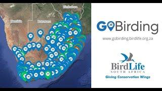 African Bird Fair 2022 - GoBirding: South Africa's avitourism portal (Andrew de Blocq)