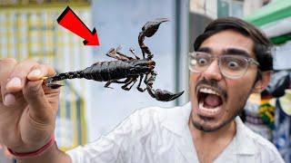 Exotic Food in Thailand -कमजोर दिल वाले ना देखें- Ye Log Kya Kha Jaate Hain