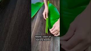 banana leaves stem use # shorts #youtubeshorts #trending