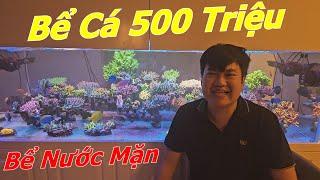 Bể Cá Nước Mặn 500 Triệu Của Mình Có Gì ? - Tiền Zombie v4