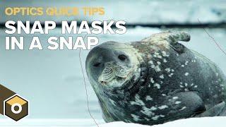 Using Snap Mask - Boris FX Optics Quick Tips