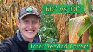  60" Corn vs 30" with Inter Seeded Cover Crops 