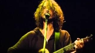 Sweet Euphoria-Chris Cornell