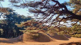 THREE ROYAL TOMBS AND TOMB OF KING GYEONGAE, GYEONGJU, SOUTH KOREA | Jelith Lavarro