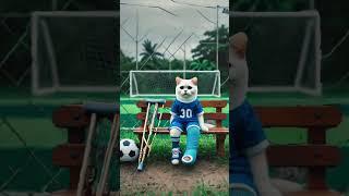 Cute cat follows his dream  anyhow #catheart #youtubeshorts #cutecat #catlover #ai