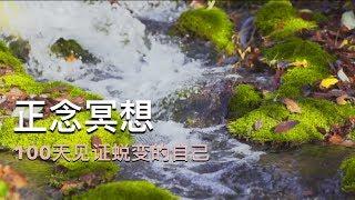 正念冥想入门|序言