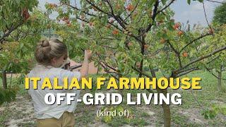 Off Grid Living in Italy - Italian Farmhouse DIY Renovation & Restoration (part 12)