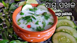 ଖରାଦିନ ଓ ପେଟ ଥଣ୍ଡା- ସାଗୁ ପଖାଳ (Sagu pakhala / Sabudana with curd)@Rasmiskitchen