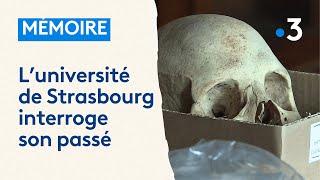 Des restes humains africains identifiés dans les collections de l'université de Strasbourg