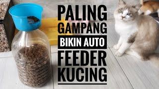 Paling Simpel! Tempat Makan kucing Otomatis Auto Feeder Kucing Dari Galon Bekas