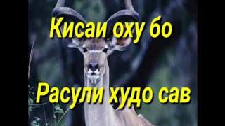 КИССАИ ОХУ  БО РАСУЛИ ХУДО МУХАММАД С.А.С