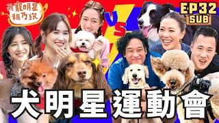 [SUB] EP32 第2屆 犬明星運動會 呵喜奇蹟逆轉勝？ 星二代集體崩潰！【 萌寵明星粗乃玩 】 阿龐 余祥銓 林又立 韓菲 王敏淳 阿福 YOYO BELLA 妹妹 BERKLEE​