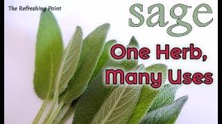 Sage the Immortality Plant Used to Treat Almost Every Illness-Sage Herb, Essential Oil &Tea Benefits