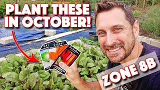 Perfect Vegetables To Plant In October In Zone 8b!