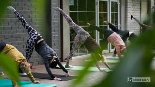 fundamentals of yoga