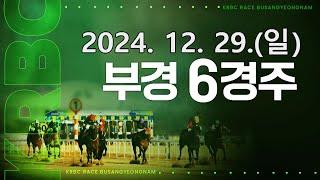 (부산) 2024.12.29 6경주