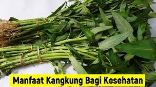 9 Manfaat Kangkung Bagi Kesehatan