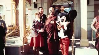 Liberation Upon Seeing:  Memories of H. H. the 16th Gyalwang Karmapa