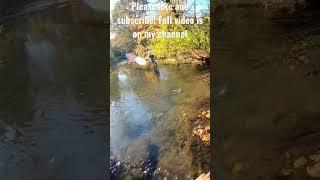 Sight Fishing for Rainbow Trout in Low and Clear Water! (Fly Fishing Western PA)