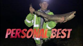 Shore Fishing Cornwall- Bull Huss