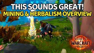 BETTER THAN DRAGONFLIGHT?! Mining & Herbalism First Impressions | The War Within Beta | Professions