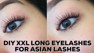 XXL LONG VOLUMINOUS LASH ROUTINE FOR STRAIGHT ASIAN EYELASHES :(