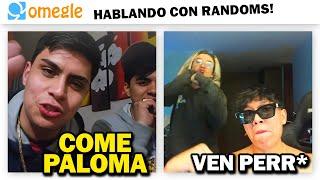 BUTI SE PELEA CON CHILENOS EN OMEGLE Ft. Glogloking