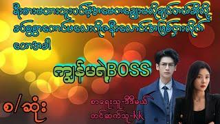 ကျွန်မရဲ့BOSS(စ/ဆုံး)#Zin Audio Channel#novel #drama #အချစ် #အရို #ရသ #အိမ်ထောင်ရေးဇာတ်လမ်း