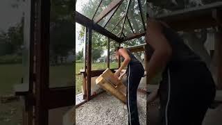 Backyard Greenhouse Interior Reveal! #shorts #gardening