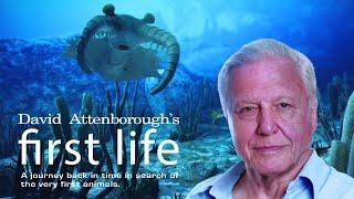 First Life with David Attenborough - Ep 1 Arrival (2010)