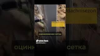 СУПЕР СПОСОБ ЗАКРЫТЬ ПРОСТРАНСТВО ВНИЗУ ЗАБОРА #дача #огород #урожай #своимируками