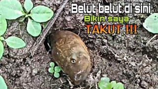 Spot baru saya ini bikin nyali saya di uji !!!