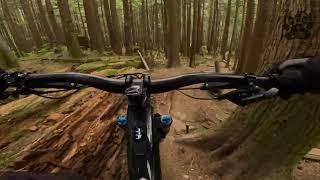 Ridden Art - Burke Mountain, Maple Ridge