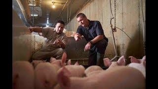 Farm Management - Ontario Pork's Social Responsibility Report