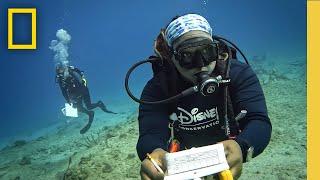 Magic of Disney Lookout Cay: Conservation Biologists | National Geographic