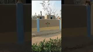 Beautiful Mud House | Colorful Mud House | Primitive Life | Village Life Punjab | Stunning Punjab