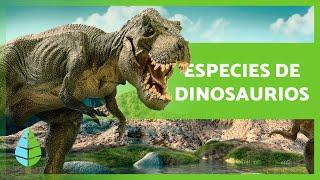 TIPOS de DINOSAURIOS  ¿Cuántas especies existieron?