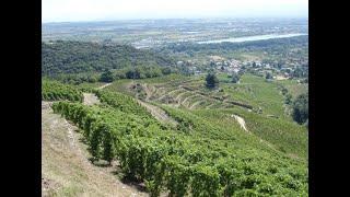 Discovering Rhone Valley Cornas with Jean Luc Colombo