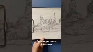 г. Бронницы озера Бельское. Шикарное место. #sorts #бронницы