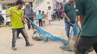 KOLAR WARD 22 DOG CATCHING IN CMC June 24, 2023