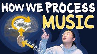 How We Process Music | Neuroscience for Musicians