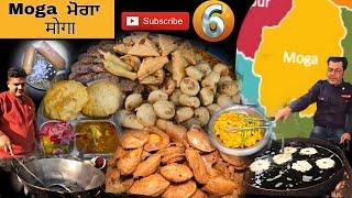 "Exploring Moga's Best Street Food: must try food in moga punjab