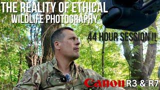 The Daily Reality of Wildlife Photography The Ethical Way | Coyotes, Deer & Birds using the Canon R3