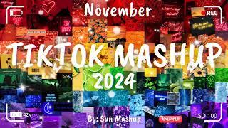 Tiktok Mashup November 2024 (Not Clean)