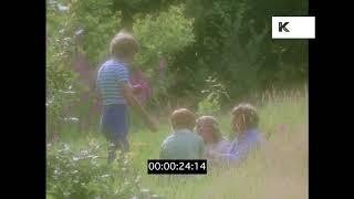 1970s Family Picnic, Summer, HD from 35mm | Kinolibrary