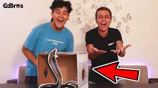 Ի՞նչ կա տուփի մեջ w GevGrig | What's in the box? | CHALLENGE