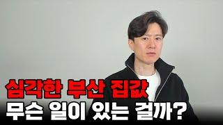 지금 심각한 부산 집값 상황... 무슨 일이 있는 걸까?