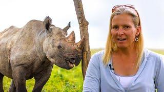 How it Feels Volunteering on the Rhino and Elephant Conservation Project | The Great Projects